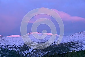Gently pink sunset over snowy mountains