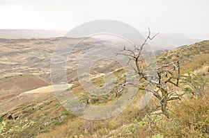 Landscape in Georgia: desert, steppe, hills and rocks on border with Azerbaijan