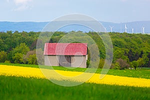 Landscape of the German countryside. A lonely house in the middle of a blooming yellow rapeseed field