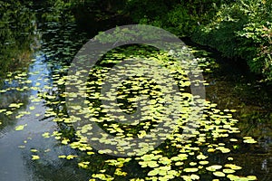View of the river in the old town of Spandau in August. Berlin, Germany