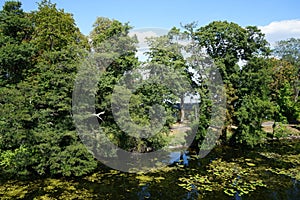 View of the river in the old town of Spandau in August. Berlin, Germany photo