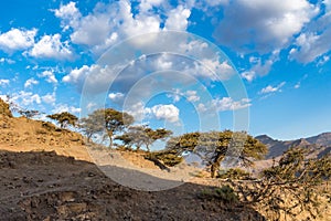 Landscape between Gheralta and Lalibela in Tigray, Ethiopia, Africa