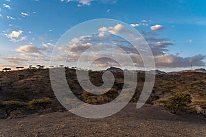 Landscape between Gheralta and Lalibela in Tigray, Ethiopia, Africa