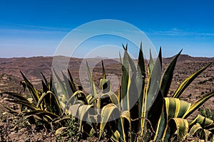 Landscape in Gheralta in Tigray, Northern Ethiopia.