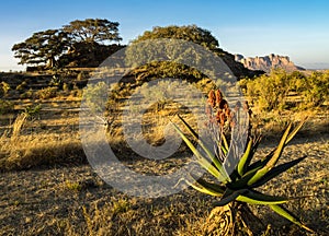 Landscape in Gheralta in Northern Ethiopia, Africa