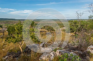 Landscape on Gib River Road