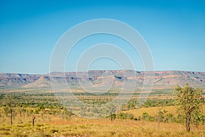 Landscape on Gib River Road