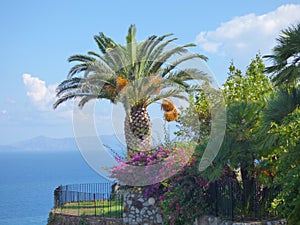 Landscape of Gioiosa Marea at Sicily