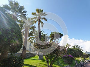 Landscape of Gioiosa Marea at Sicily