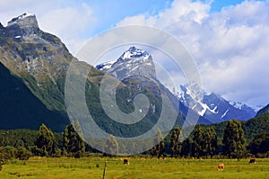 Landscape of Glenorchy New Zealand NZ NZL