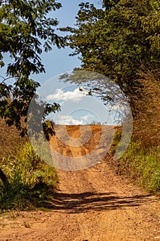 A landscape of the Goias cerrado.