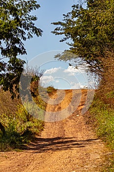 A landscape of the Goias cerrado.