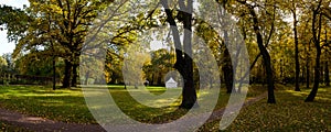 Landscape of Golden autumn in the Park where there are old oaks.