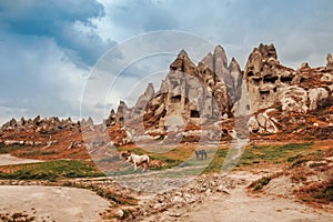 Landscape of Goreme fairy chimneys , Cappadocia. Nevsehir Province. Turkey