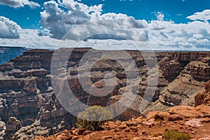 Landscape of Grand Canyon at daytime