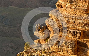 Landscape of Grand Canyon, USA