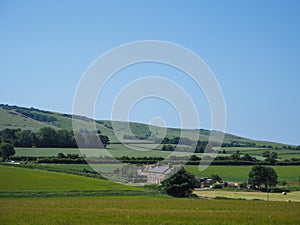 Landscape of grass field, blue sky and green environment.