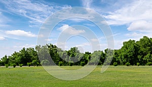 Landscape of grass field and green environment public park with blue sky. Beautiful summer landscape background