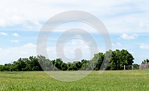 Landscape of grass field and green environment public park with blue sky. Beautiful summer landscape background