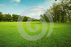 Landscape of grass field and green environment public park use a