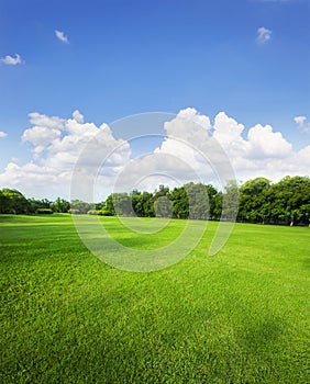 Landscape of grass field and green environment public park use a