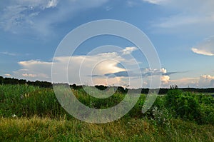 landscape of grass field and green environment public park use as natural background,backdrop