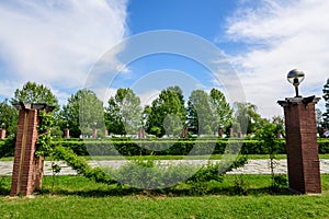 Landscape with grass, roses and large old green trees towards clear blue sky in King Michael I Park Herastrau, in a sunny spring