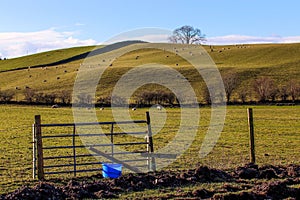 Landscape with grassland in a rural area of Lake District, England, United Kingdom