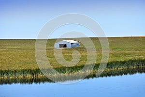 Landscape with grassland, trees and prairie