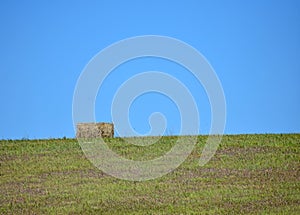 Landscape with grassland, trees and prairie and rolls of hay