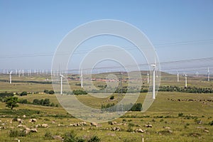 Landscape of grassland and wind power windmill in Zhangbei, China