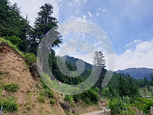 Landscape green beauty paddy fields,  nature landscaping. Plants green lands and crop fields looks beautiful summer and spring