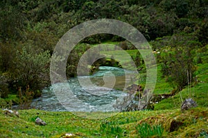 Landscape of a green creek in Huascaran National Park