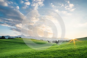 Landscape with green field