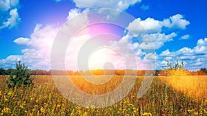 Landscape of a green field under a bubbly summer colorful sky at sunset dawn sunrise. Copyspace On Clear Sky.