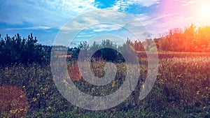 Landscape of green field under bubbly summer colorful sky at sunset dawn sunrise. Copyspace On Clear Sky.