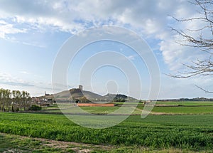 Landscape of green fields with blue sky and some clouds in Mota del Marques. Valladolid. Spain