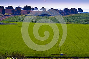 Landscape of the green fields of Kibbutz Kfar Glikson Israel