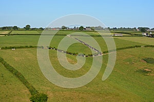 Green pasture fields with cattle