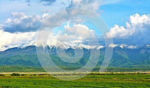 Landscape of green fields with snow-capped peaks mountains in Calimani, Romania