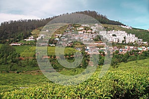 Landscape with green fields of tea in Ooty photo