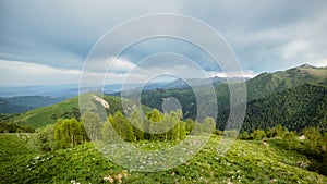 landscape with green flowering meadows, coniferous forest and mountain peaks, cloudy sky with clouds in the background