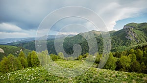 landscape with green flowering meadows, coniferous forest and mountain peaks, cloudy sky with clouds in the background