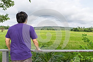 Landscape of green forest with back of asian man tourist traveller in the mountain photo