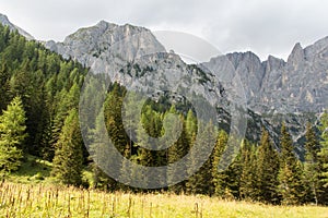 Landscape with a green forest, mountains and clouds on background, Dolomites, Italian Alps