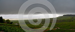 Landscape with green grand cru vineyards near Epernay, region Champagne, France in rainy day. Cultivation of white chardonnay wine