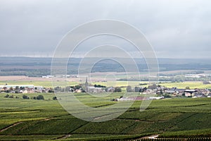 Landscape with green grand cru vineyards near Epernay, region Champagne, France in rainy day. Cultivation of white chardonnay wine