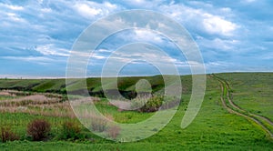 Landscape with green grass and blue sky. road goes on top of the hills. sky with blue clouds in rural. spring landscape