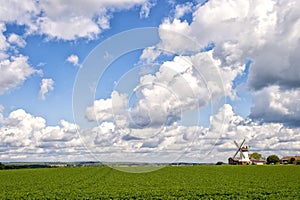 Landscape with green grass, cloudy sky and windmill