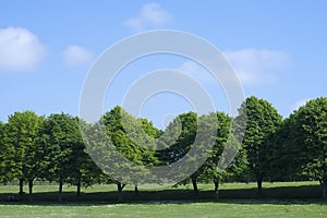 Landscape of green grass field with beautiful blue sky in hot sunny day, Beautiful view day time view at countryside in England in